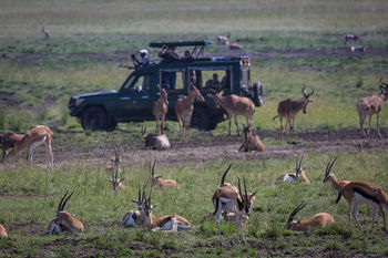 Elewana Sand River Masai Mara Maasai Mara Exterior foto